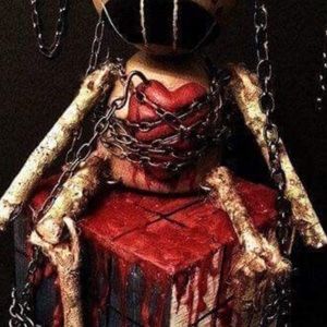 Meet your Posher, Xavier